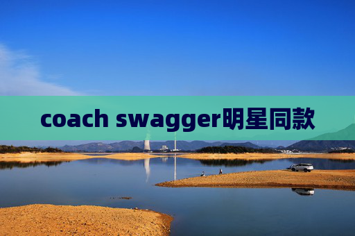 coach swagger明星同款